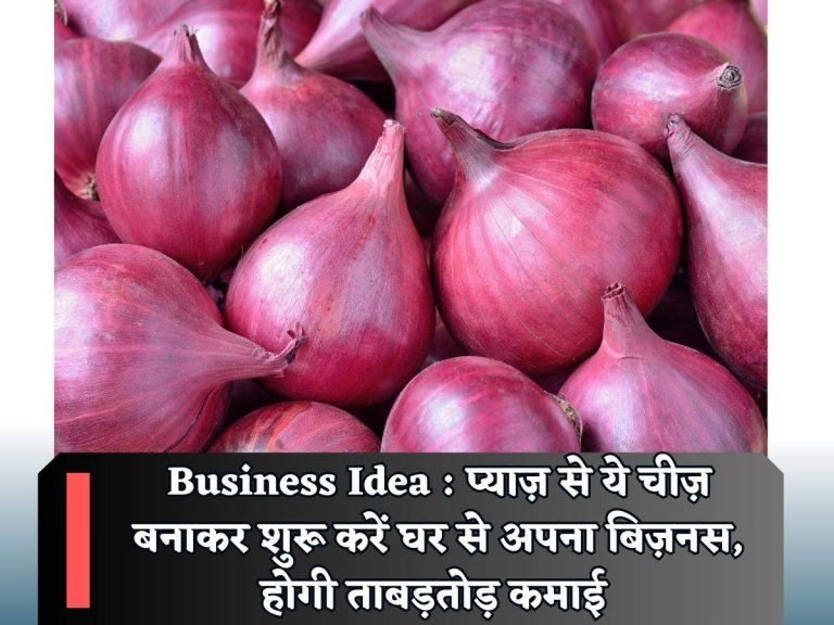 Business Idea : प्याज़ से ये चीज़ बनाकर शुरू करें घर से अपना बिज़नस, होगी ताबड़तोड़ कमाई