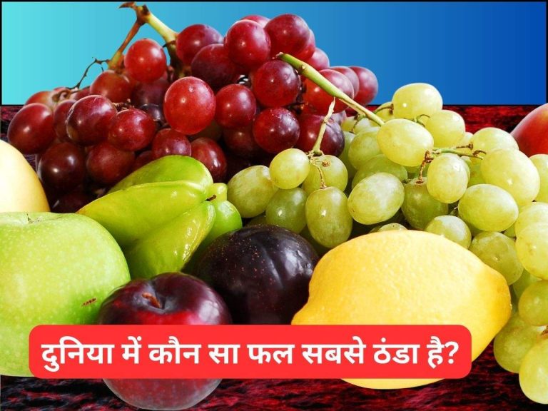 General Knowledge : दुनिया में कौन सा फल सबसे ठंडा है?