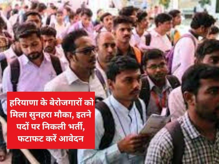 Haryana News: हरियाणा के बेरोजगारों को मिला सुनहरा मौका, इतने पदों पर निकली भर्ती, फटाफट करें आवेदन