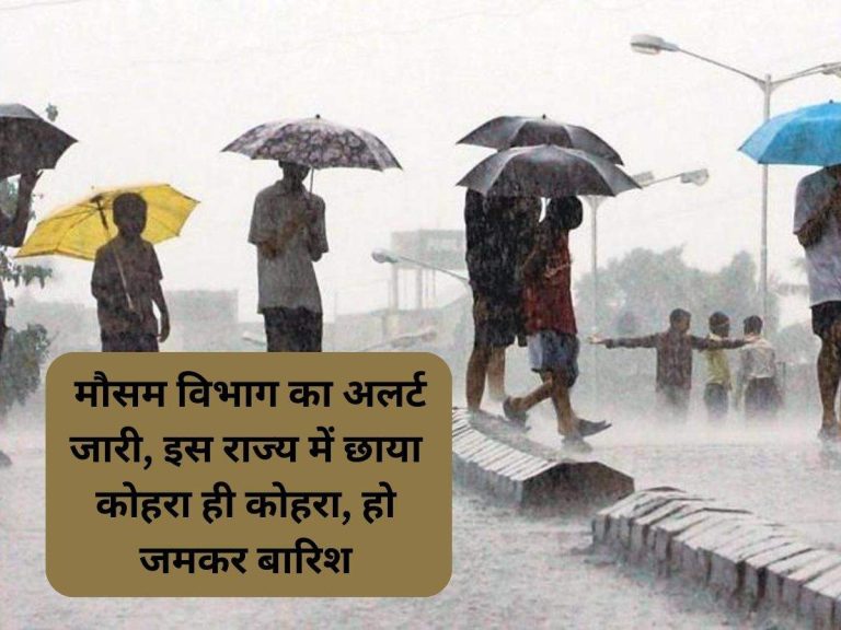 Weather Update: मौसम विभाग का अलर्ट जारी, इस राज्य में छाया कोहरा ही कोहरा, हो जमकर बारिश