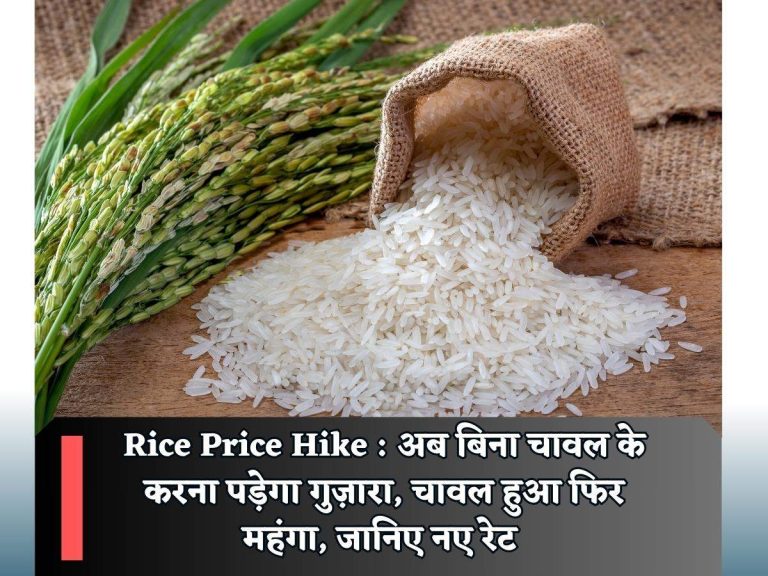 Rice Price Hike : अब बिना चावल के करना पड़ेगा गुज़ारा, चावल हुआ फिर महंगा, जानिए नए रेट