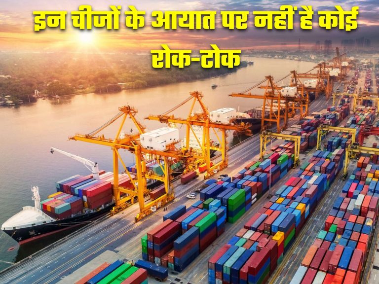 Import-Export: सरकार की सफाई , इन चीजों के आयात में कोई रोक-टोक नहीं, बिना चिंता के ले आओ देश