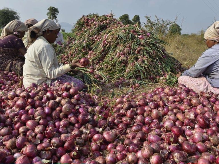 Export News: एक्सपोर्ट पर प्रतिबंध, सरकार का एलान, गेहूं, चीनी, चावल, और प्याज को नहीं हटाएगा