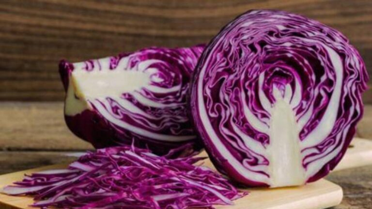 Weight Loss से लेकर डायबिटीज के नियंत्रण के लिए Purple Cabbage है सहायक