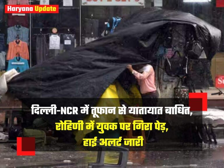 दिल्ली-NCR में तूफान से यातायात बाधित, रोहिणी में युवक पर गिरा पेड़, हाई अलर्ट जारी