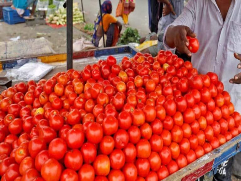 Planting Tomatoes In Home: घर के गमलों में उगेंगे लाल टमाटर, बस अपनाएं ये खास ट्रिक